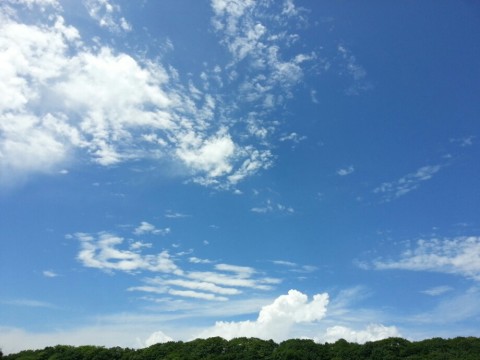 g33kmx9t4mn46wm367ai_920_690-39d451da.jpg