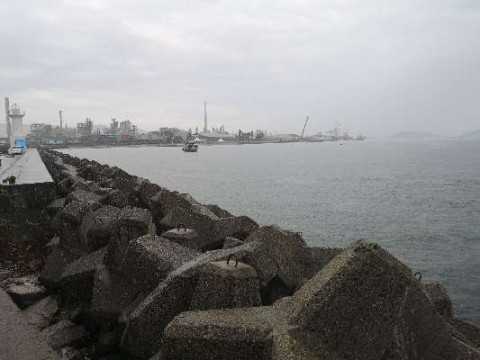 g34h29gsw2bthtghu8nr_480_480-52d400f0.jpg
