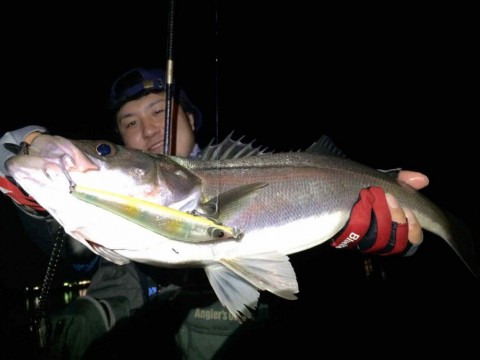 g353mesbasjb759igwtt_480_360-434ee9e7.jpg