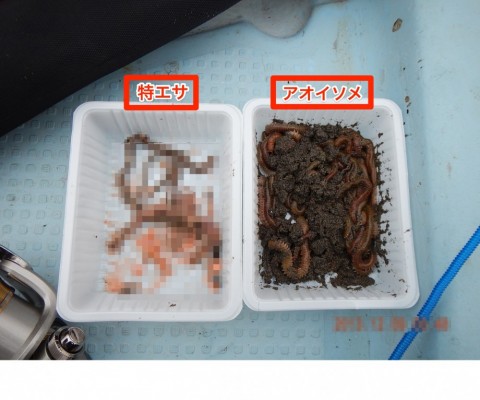 g37hjw9c3ig9iuo9gid3_480_480-dbb63751.jpg