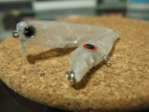 g3pwycavkjpa2x8eby8c_480_480-714246cf.jpg