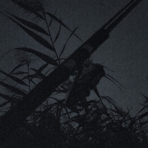 g3scu6nn9offb4yepxxy_920_920-59910c4a.jpg