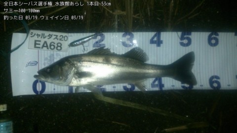 g3xppm2kt4rk2etf4d8j_480_480-596745a6.jpg