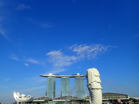 g4fyfxxxih7cdp9md68z_480_480-8b7d0ed4.jpg