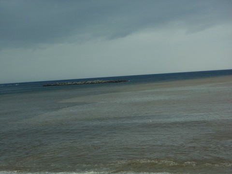 g4igzhx6gr599zsi9ch3_480_480-c29abf84.jpg