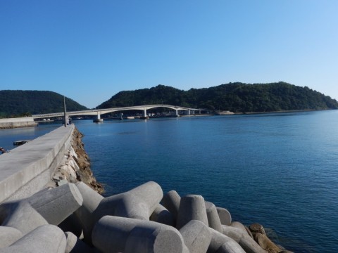 g4kzhvg77gvpzoaatmn5_480_480-390b09f4.jpg
