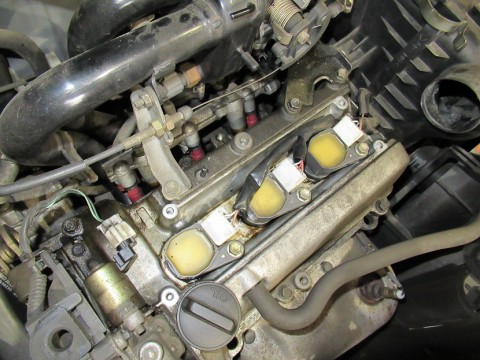 g5d2hthn8335oa664oxr_480_480-86fe0d60.jpg
