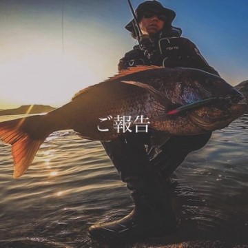 g5dz2bx43obsg9hcb4ij_401_401-778567c7.jpg