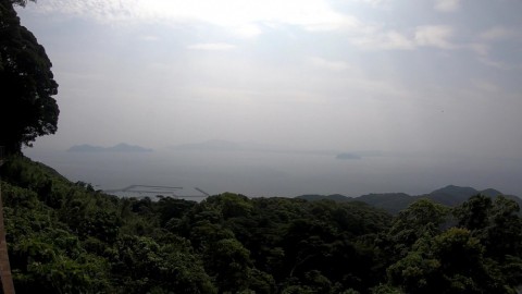 g5kbgenaa62bk883khsr_480_480-299c824f.jpg