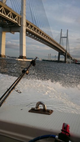 g5xwiuu66dg9ncopgngt_518_920-081b52c1.jpg