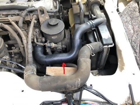 g6b272my33dbh3hf4fj5_480_480-0bc2b240.jpg