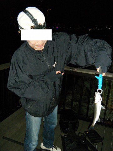 g6kdd2zhvts3t58m3cip_480_480-f544483d.jpg