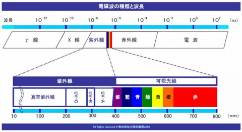 g6w7bj6uktrae9epfdh5_480_480-4810d6a6.jpg