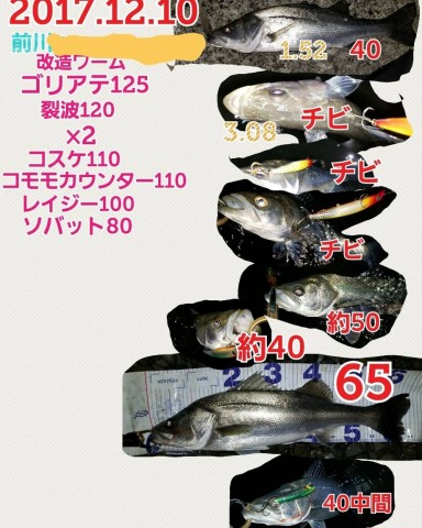 g6wyz9o5vxnxwh28k9dp_480_480-907237f3.jpg