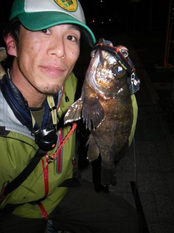 g77a82dmpcwc8gt5o5ir_480_480-4b0873d2.jpg