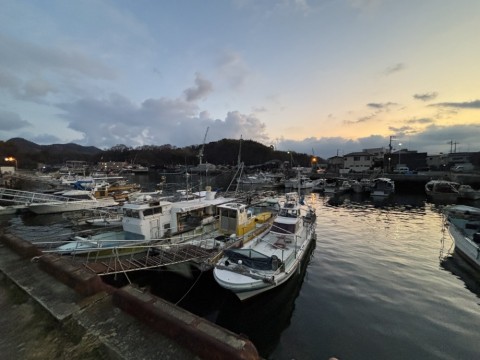 g7d26ddiduwn9x2dcpat_480_480-d036e3ce.jpg