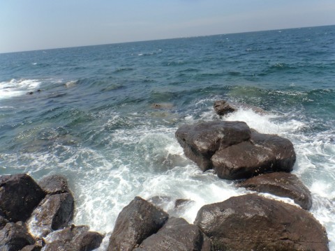 g7euwxsgatpuvfzz2s8b_480_480-89d1ae58.jpg