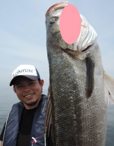 g7hktvnyo8ftsir4kr7x_480_480-20fa7904.jpg