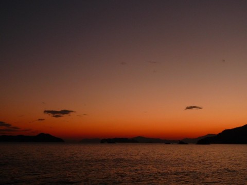 g83nx98d4jeprrgmnput_480_480-58e3054c.jpg