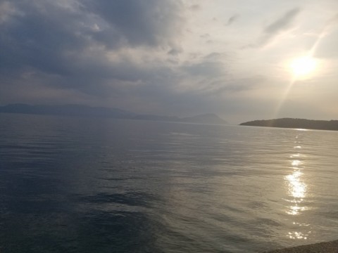 g85ig89ar265ghmjvgpz_480_480-8330fffb.jpg