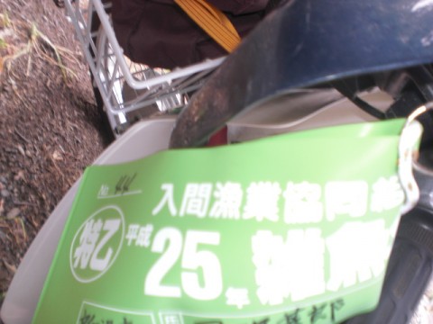 g8hphkxji7hieb3oec2v_480_480-168c9d6a.jpg