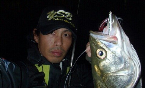 g8iuakm9in3y7jt54iig_537_326-799707f2.jpg