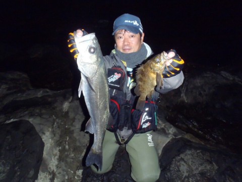 g8s7hxh6c7a97foweiuv_920_690-c5538d48.jpg