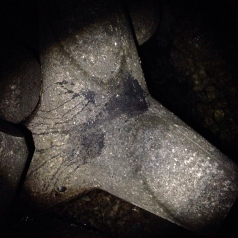 g93r7ahpy873bvaxkax3_920_920-579eeb76.jpg