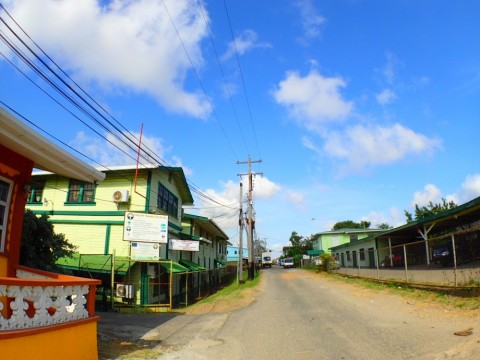 g966rryhwpk46cr8x9s9_480_480-093b4bc5.jpg
