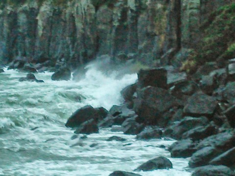 g98pzfjste5katsxnp6f_480_480-8f9645c3.jpg
