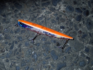 g99riib2y8zwggyxfmko-7ee55650.jpg