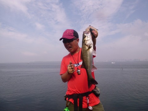 g9dix7h66jae7ui9pgs6_920_690-27a1c2f8.jpg
