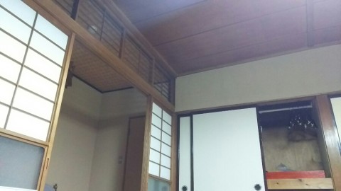 g9uo756jk7w5ga9p5may_480_480-a055a79b.jpg