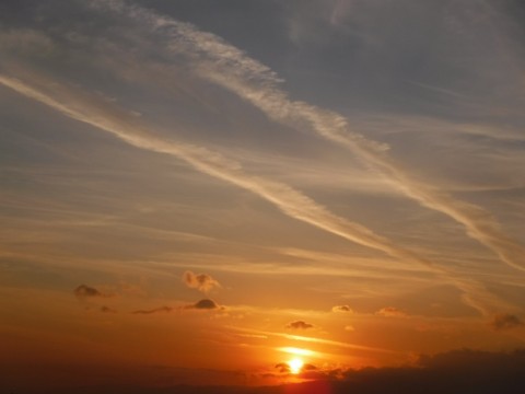 g9x48mfxr5dvcdt5bpfp_480_480-f377d378.jpg