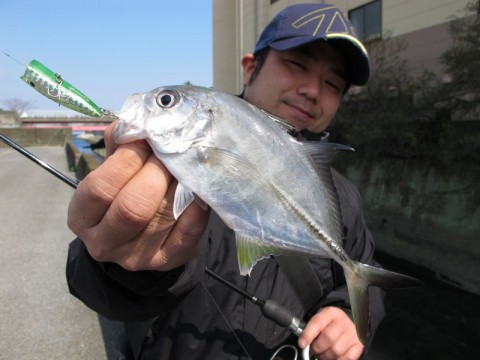 g9z5f53feharw4kn5fgz_480_480-e50455bb.jpg