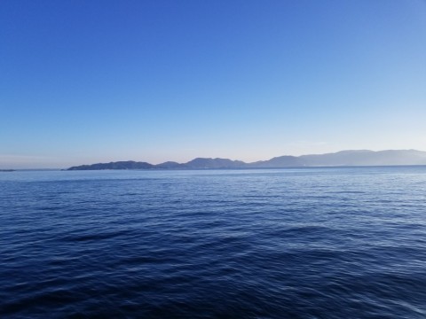 ga6ief8ohavuo9fy9ndb_480_480-0effa482.jpg