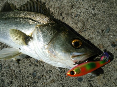 gakdnx5xyvtijv6jdgk8_920_690-7b581293.jpg