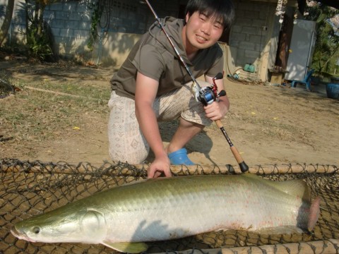 gakotrbgps2fjd8ubope_480_480-74eb56e4.jpg