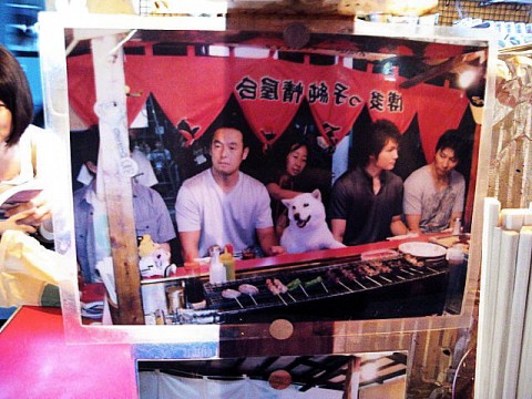 gapbou8csa54yhmoupof_480_480-04a9e402.jpg
