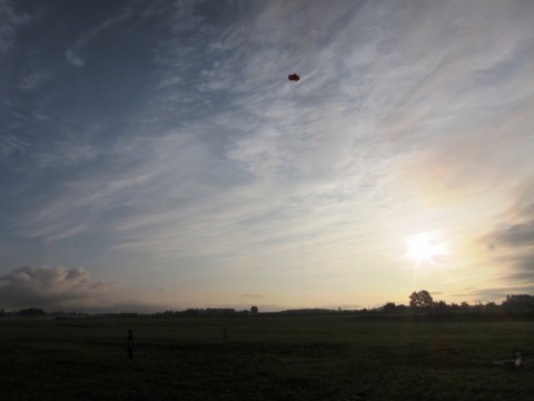 garncrdugjtei9ttk5tx_480_480-2f18ec0a.jpg