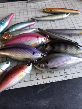 gbb6wxz3uw385jtwfv63_361_480-54cf9067.jpg