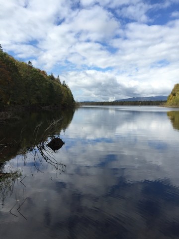 gbd3r5wancay6fw69nyp_690_920-d0892931.jpg