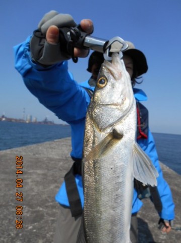 gbj5egs55oseebd59a66_480_480-aa73cc95.jpg