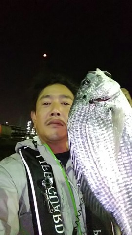 gbpxpk2bwxw73aaisdoe_518_920-87c8a7ed.jpg
