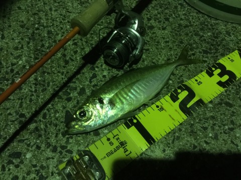 gbr53w42k8wrxd9r2ji7_920_690-51243fca.jpg