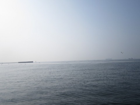 gbx7wokygmjfbeww3vcd_480_480-b3f2b85a.jpg