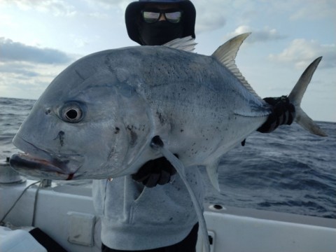 屋久島 GTキャスティング GTフィッシング フィスニック FISNIC 遊漁船 釣り 吐噶喇列島 トカラ列島 口之島 口永良部島 中之島 オフショアキャスティング オフショアキャスティング トップウォーター ルアーフィッシング GT ジャイアントトレバリー