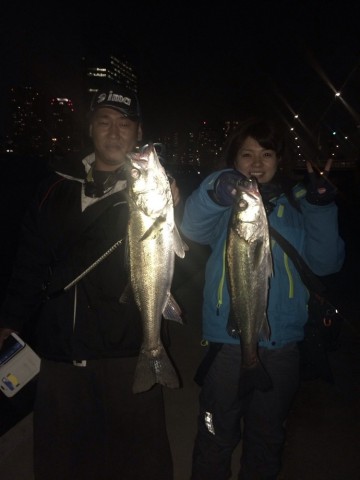 gcbegfghdk9gms6p4gxk_690_920-fff62a81.jpg
