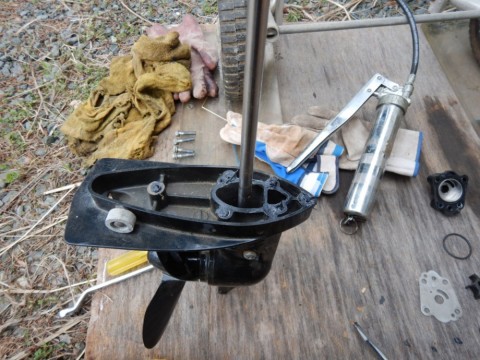 gcbr39kn8xsjd7cnmpxm_480_480-990cd914.jpg