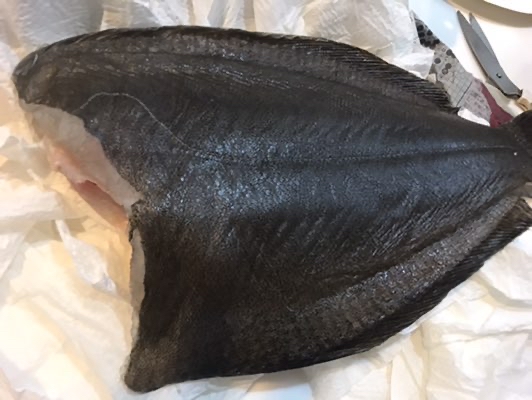 Action 7日後もお刺身で食べたい 釣った魚の保存方法